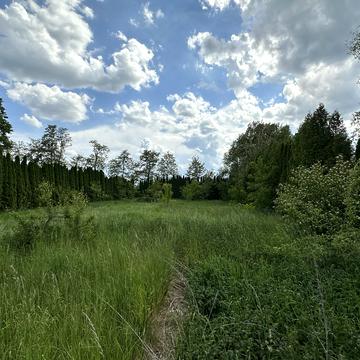 Старі Кривотули, Івано-Франківський, Івано-Франківська область 15000.0 USD