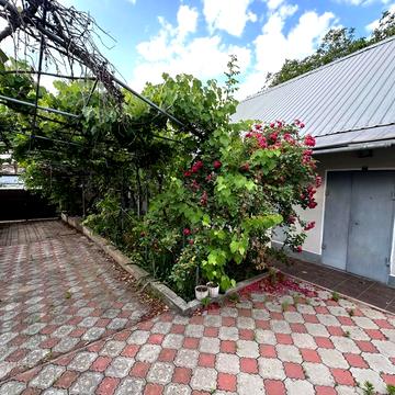 Шевченка пров., 14