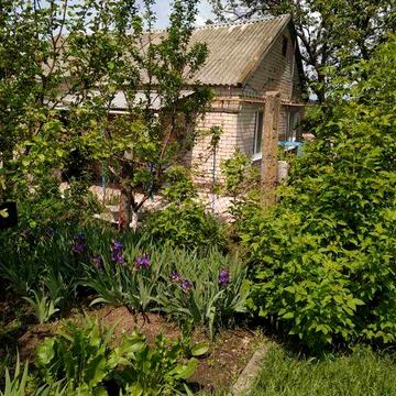 Продаж будинку у селі Ручаївка