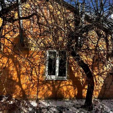 Продаю будинок з земельною ділянкою 25 соток