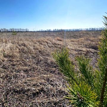 Микуличі, Бучанський, Київська область 10000.0 USD