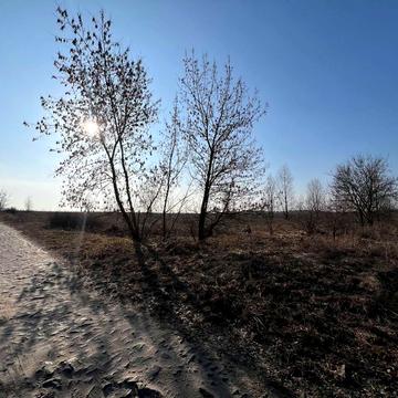 Озеро, Гостомель, Бучанський, Київська область 150000.0 EUR