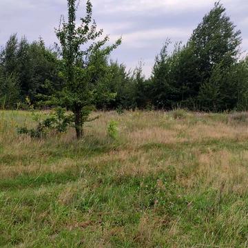 Дружня, Бучанський, Київська область 5000.0 USD