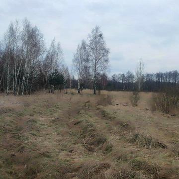 Вишгород, Вишгородський, Київська область 4000.0 USD