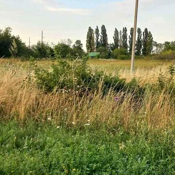 Ростовська, 35