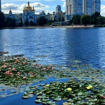 Оренда двокімнатної квартири Лівобережна  Березняки