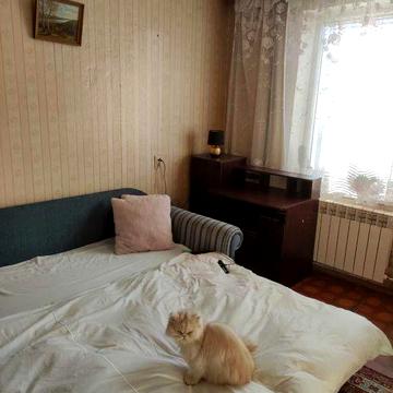 Довгострокова оренда 2(3)-к квартири в центрі від власника без комісії