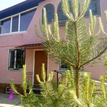 Будинок вашої мрії – вихід до річки!