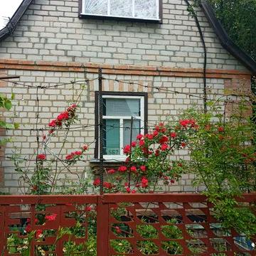 Дача в садовому товаристві Колос