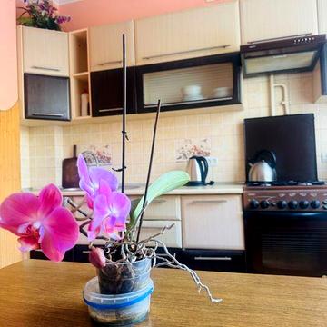 від власника 2 кімнати Сихів Скрипника Гориня Санта Барбара