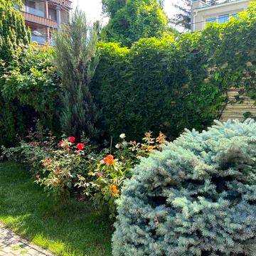 Фонтанская дорога! Дом на 5-ти сотках! Панорама моря! 1A37