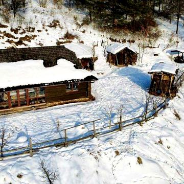 Будинок-зруб у с. Майдан з видом на лижі, бізнес із доходом 2000$/міс