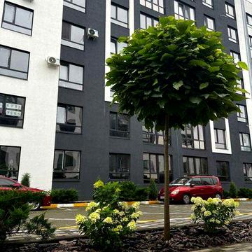 Квартира біля Бучанського парку за 14 000 $