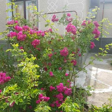 Продам будинок в Очакiвському рн с.Рiвне