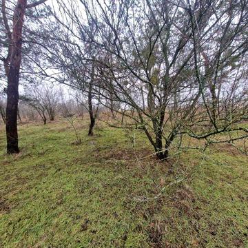 Продам дачу Новоселовка