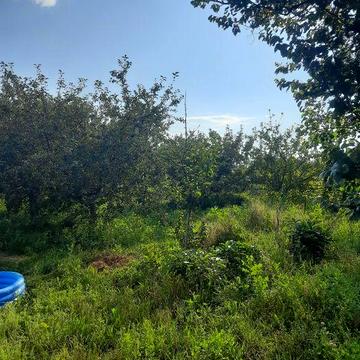 Дача 12 соток.Переясловская