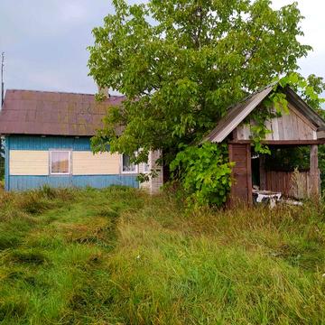 Будинок в селі Северинівка