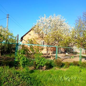 Будинок у Камяно-Зубилівці Солонянського району