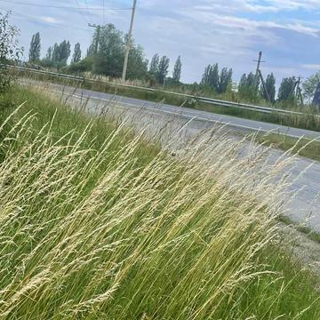 Европейська