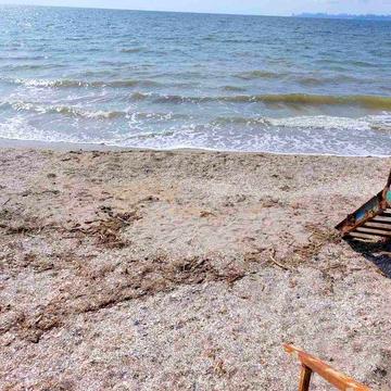 Продам дачу на берегу моря 1 линия  все коммуникации.