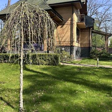 Великий будинок у Ворзелі з сауною і басейном. Ділянка 25 соток.