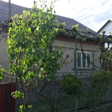 Продається будинок у м. Тячів