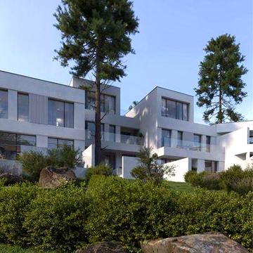 У продажі  елітні котеджі,4 км від центру Ужгорода, сосновий ліс