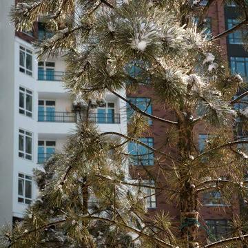 Ідеальний старт для молодої людини. Квартира в єОселю ЖК Синергія Сіті