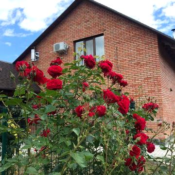 Здам в оренду будинок