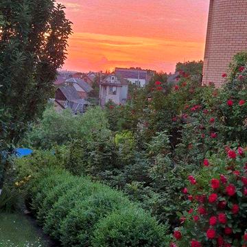 Будинок та 27соток землі в Лезнево