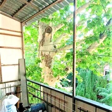 Продам квартиру Коблевская Дворянская с двумя балконами