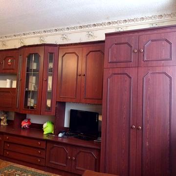 Здається 1но кімнатна квартира в центрі