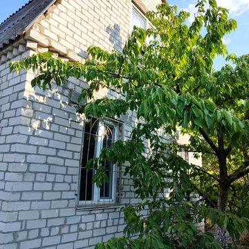 Продаю дачу. Дзвоніть відповім на всі питання