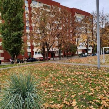 Продам трёхкомнатную квартиру Северная Салтовка