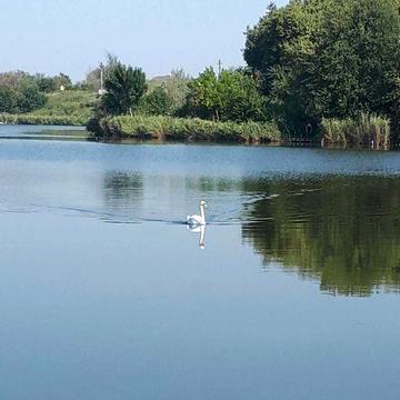 Дом с камином в живописном месте вблизи озера пригород Одессы