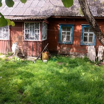 Будинок в селі Клинець Овруцького району. Дача. Хата.