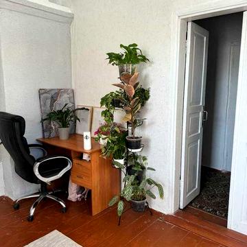 (5) продам будинок в Немирові 1122