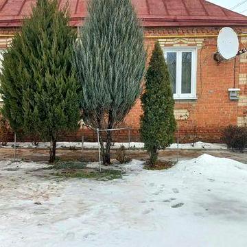 Продається будинок Двурічний кут