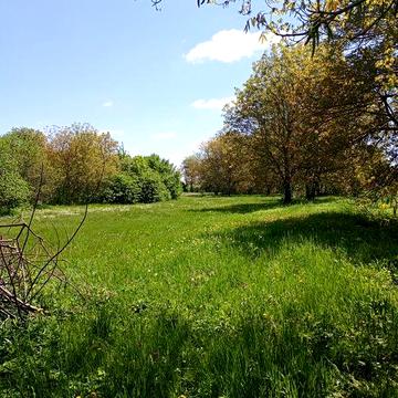 Старий глиняний будинок, в нежилому стані, Вул Савчука 47  село Ко