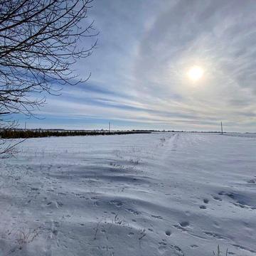 Продам будинок в добрі руки