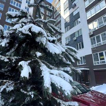 ПРОДАМ 1к Центральний Парк Мінімальне оформлення БЕЗ КОМІСІЇ ЖК Чехов Парк