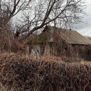 Продам житловий будинок