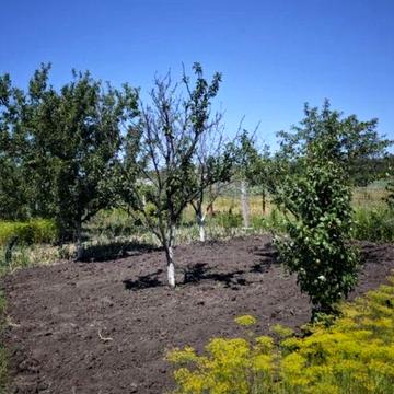 Продам будинок село Хуторське з великим участком 50 сот