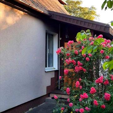 Окремий будинок в центральній частині міста!