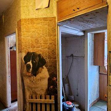 Квартира 3к, Лесі Українки 24, під ремонт