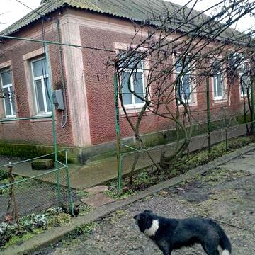 Дім (107 м.кв.)в с.Привільне біля річки Інглул.