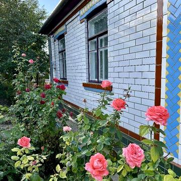 Продам будинок в центрі міста Жашків Черкаська область