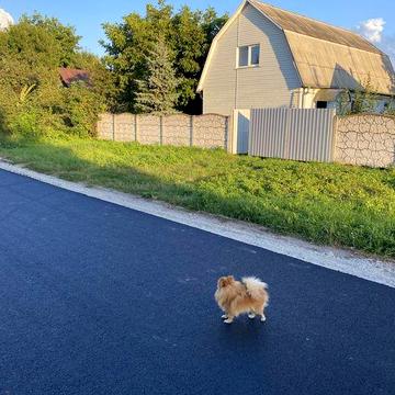 Продам-обмен  будинок у с. Кодня, 25 км від Житомира 2 кадастра на зем