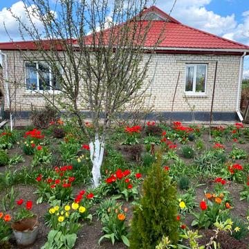 Продам дом с. Мариновка 30 км от Первомайска