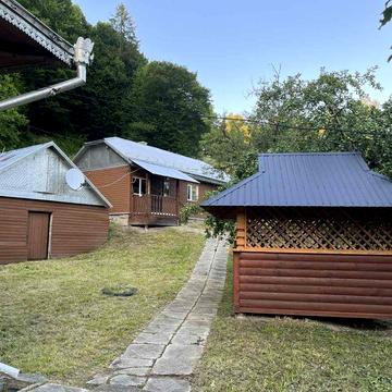 Господарство в Карпатах